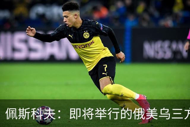 佩斯科夫：即将举行的俄美乌三方谈判不包括欧盟