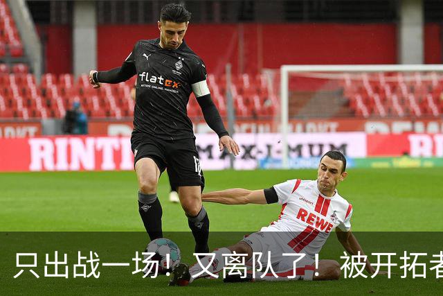 只出战一场！又离队了！被开拓者下放！小杨何时回来？