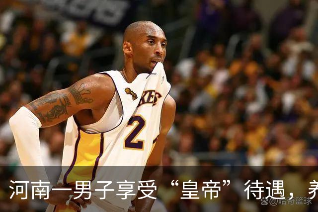 河南一男子享受“皇帝”待遇，养几十个女人，还说有钱就要这样干