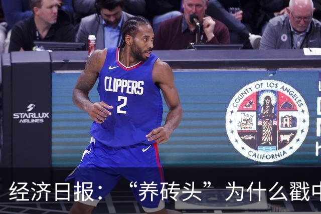 经济日报：“养砖头”为什么戳中年轻人？