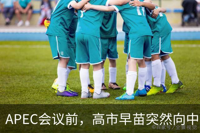 APEC会议前，高市早苗突然向中方表态，提及台湾问题，用意不一般